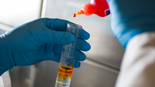 A pair of gloved hands in a chemical expermenting area is adding an orange liquid from a squeeze bottle into a flask holding a clear substance.