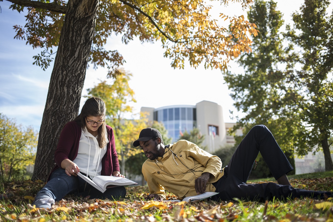 Two students studying under a tree in a courtyard on campus surrounded by yellow, red, and orange leaves that have fallen from the tree above them.